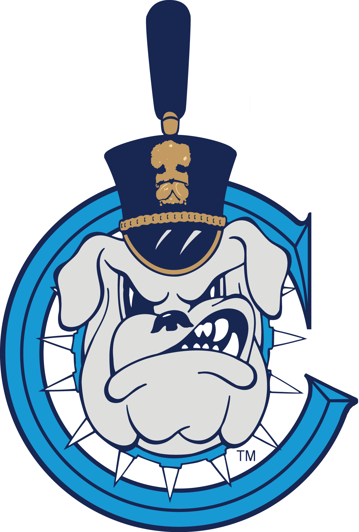 The Citadel Bulldogs 0-Pres Secondary Logo diy fabric transfers